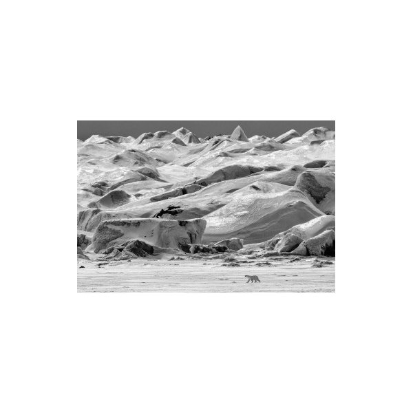 POLAR VISTA