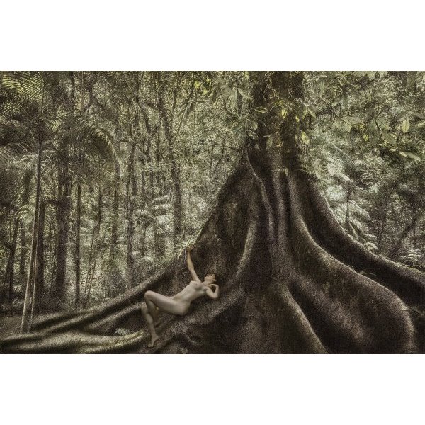 Dryads #2