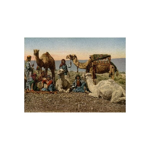 Stop of camel drivers in the desert
