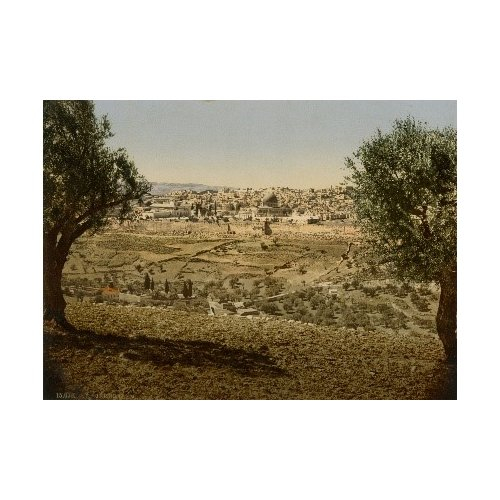 Jerusalem, Panorama of the Mount of  Olives