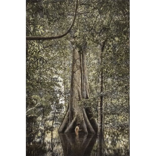 Dryads #17