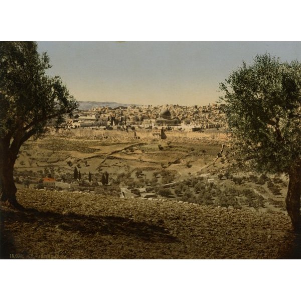 Jerusalem, Panorama of the Mount of Olives and Gethsemane