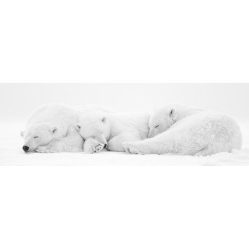 THE NAP I