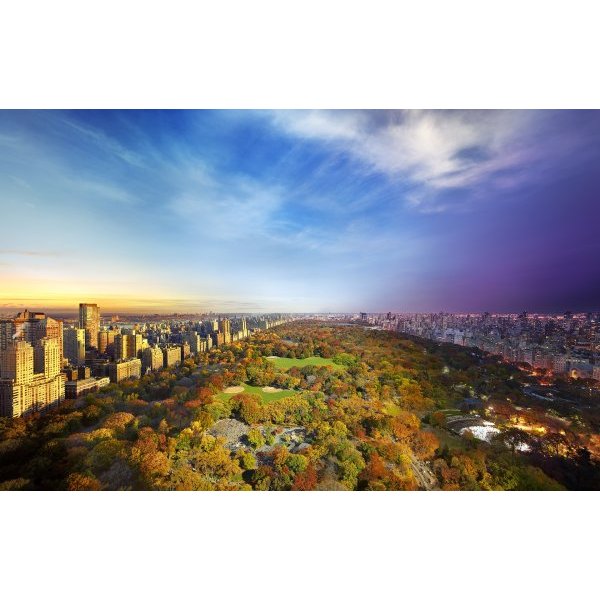 Central Park view from Essex House, NYC