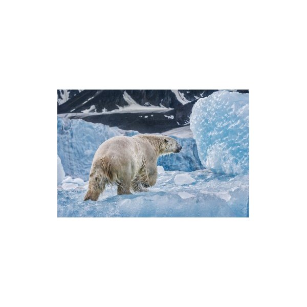 ON ANCIENT ICE