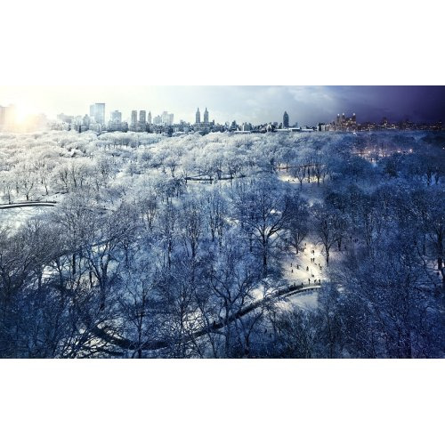 Central Park Snow, NYC
