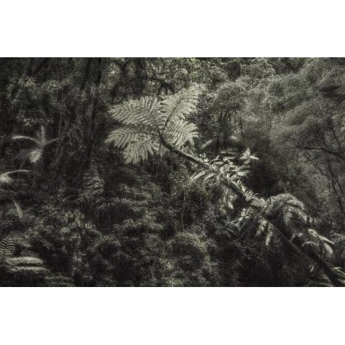 A Picturesque Voyage Through Brazil #06