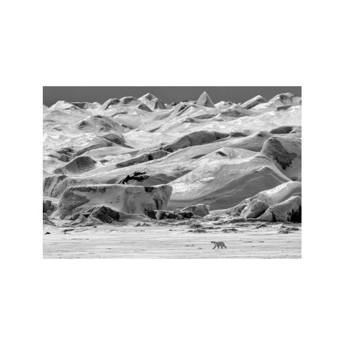 POLAR VISTA