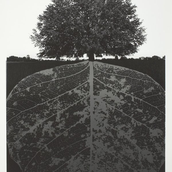 Untitled, 1964