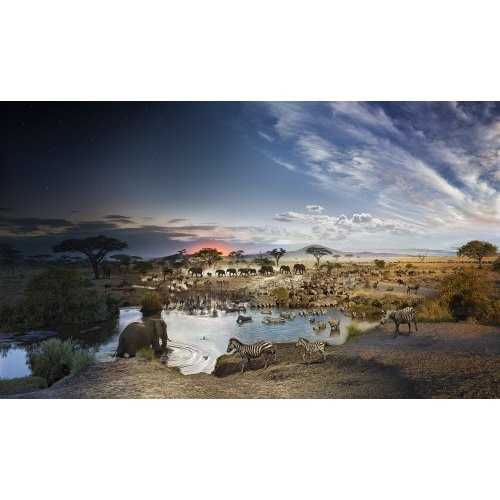 Serengeti National Park, Tanzania