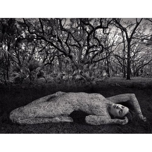 Untitled, 1983