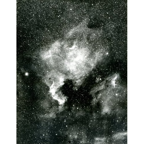 North America Nebula