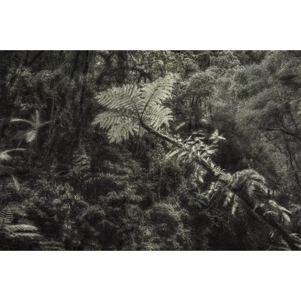 A Picturesque Voyage Through Brazil #06