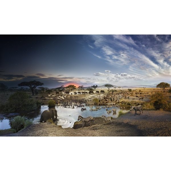 Serengeti National Park, Tanzania