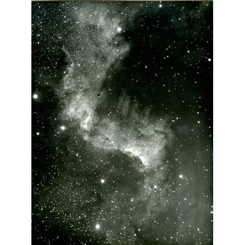 The Cygnus Wall