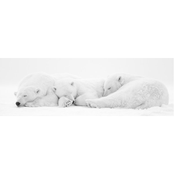 THE NAP I