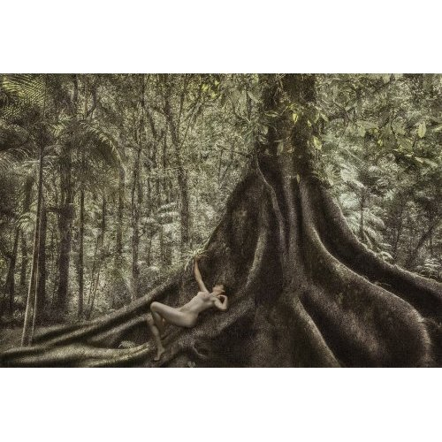 Dryads #2