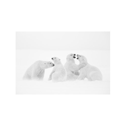 WHITE SYMPHONY