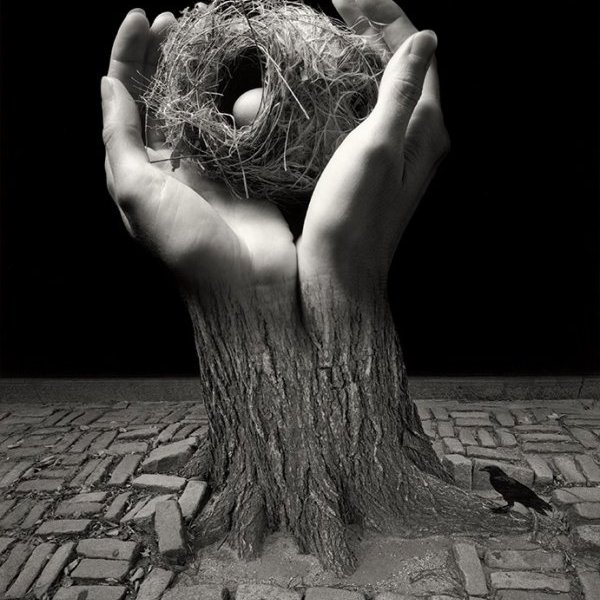 Journey into night