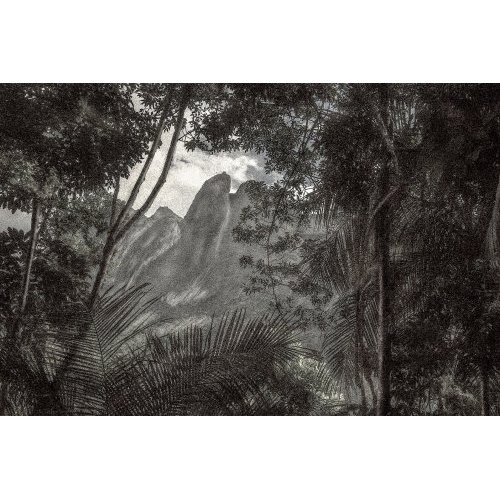 A Picturesque Voyage Through Brazil #71