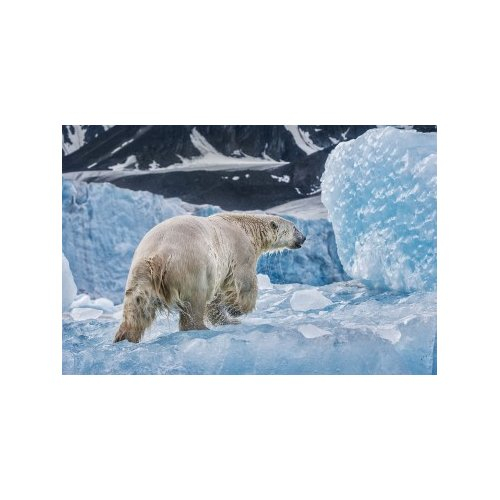 ON ANCIENT ICE