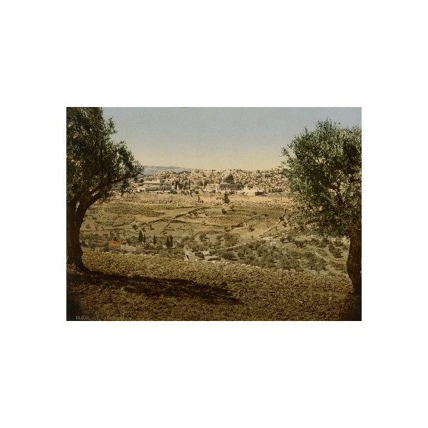 Jérusalem, vue Générale du mont des Oliviers