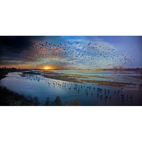 Rowe Sanctuary, Nebraska