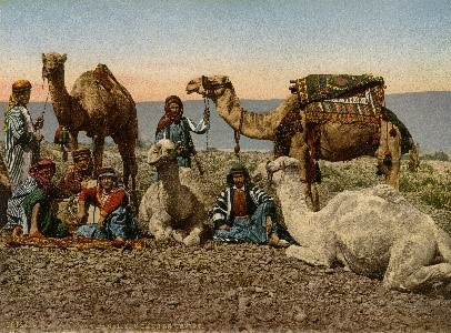 Stop of camel drivers in the desert