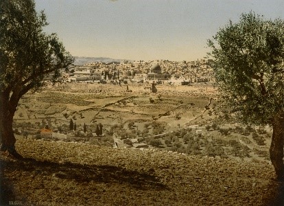 Jerusalem, Panorama of the Mount of  Olives