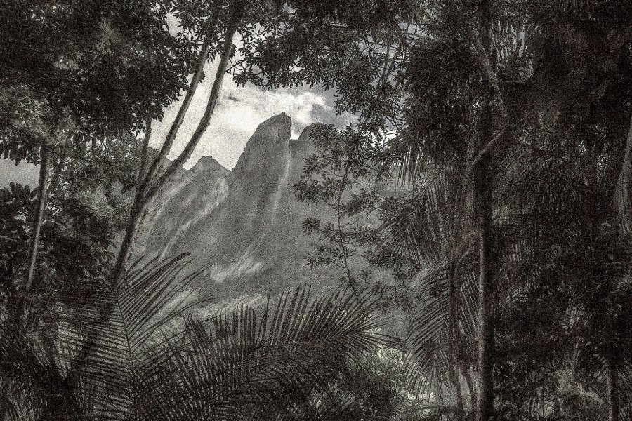 A Picturesque Voyage Through Brazil #71
